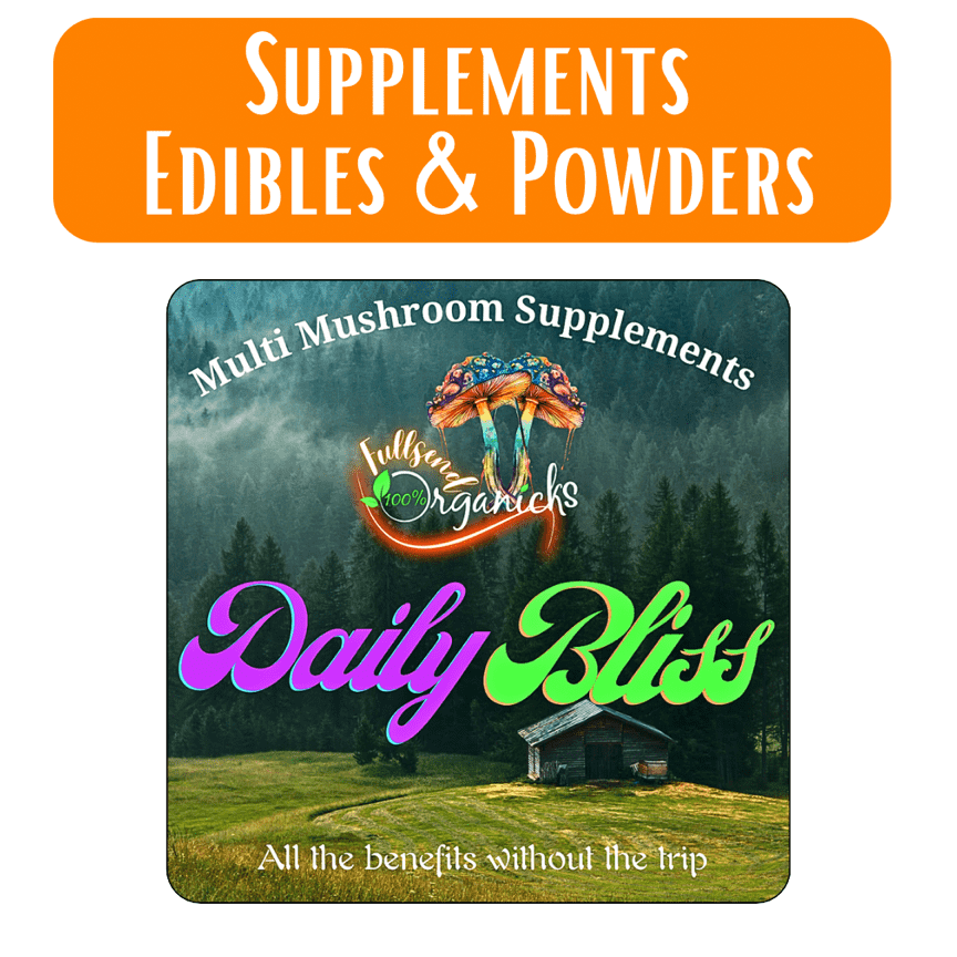 Mushroom supplies - Daily Bliss