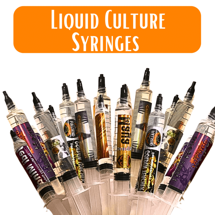 liquid culture