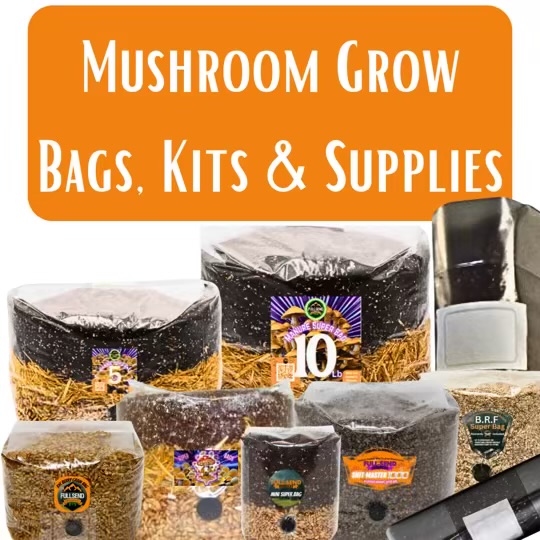 Spores | Super Bags | Mushroom Supplies | Liquid Culture