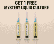Liquid Culture Mystery Bonus Pack – Buy 2, Get 1 Free