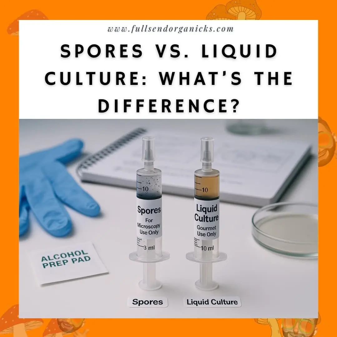 Spores vs. Liquid Culture: