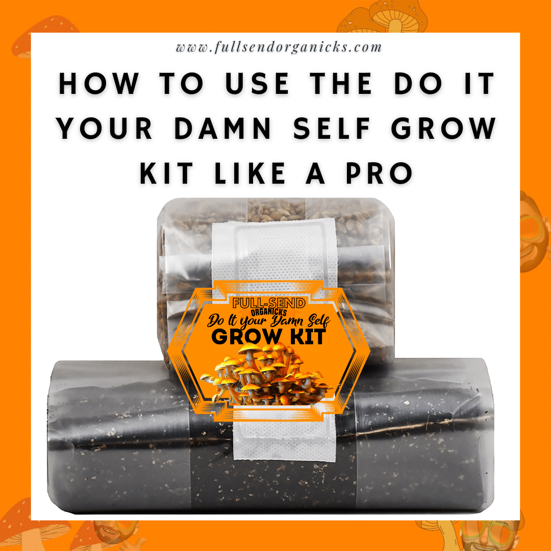 how to use the do it your damn self grow kit like a pro