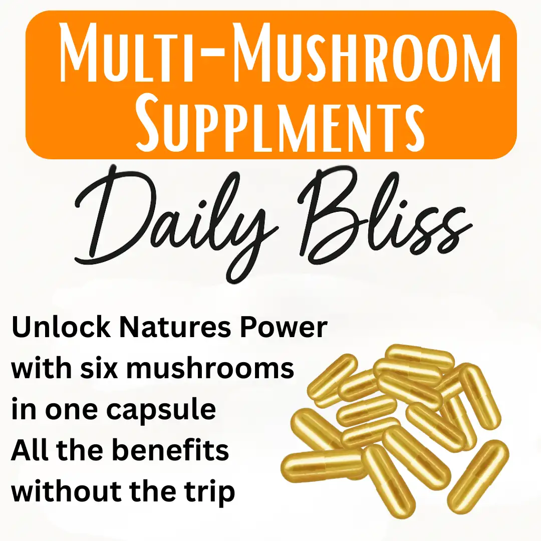 Spores | Super Bags | Mushroom Supplies | Liquid Culture