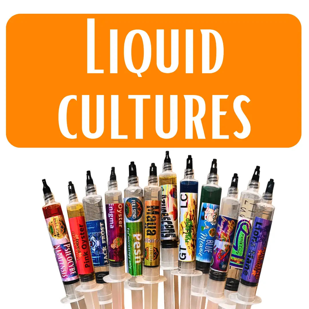 Spores | Super Bags | Mushroom Supplies | Liquid Culture