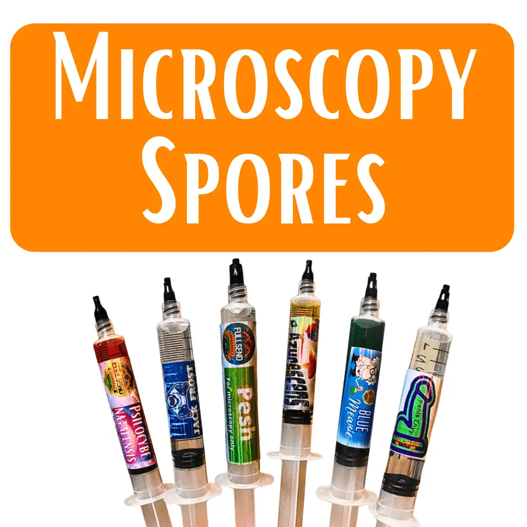 Spores | Super Bags | Mushroom Supplies | Liquid Culture
