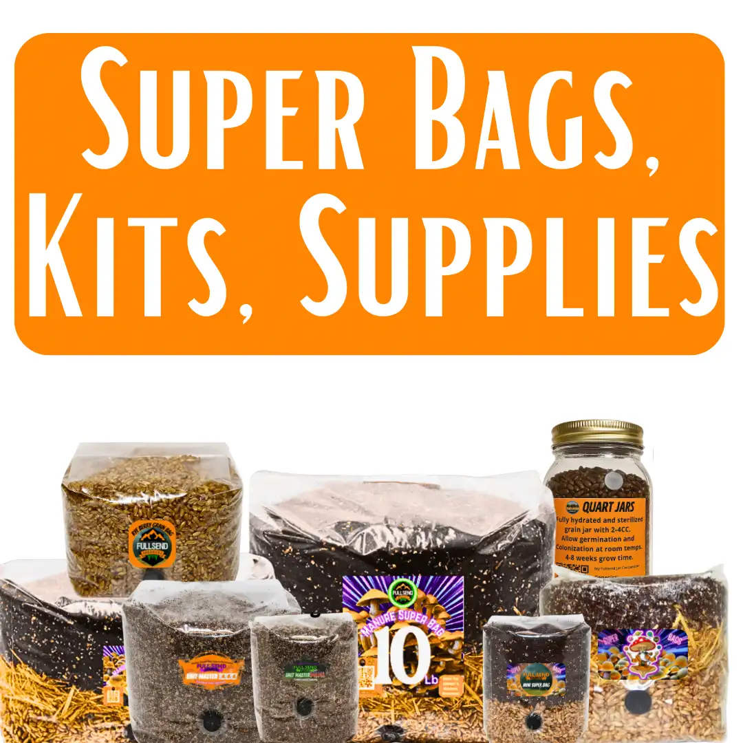 Spores | Super Bags | Mushroom Supplies | Liquid Culture