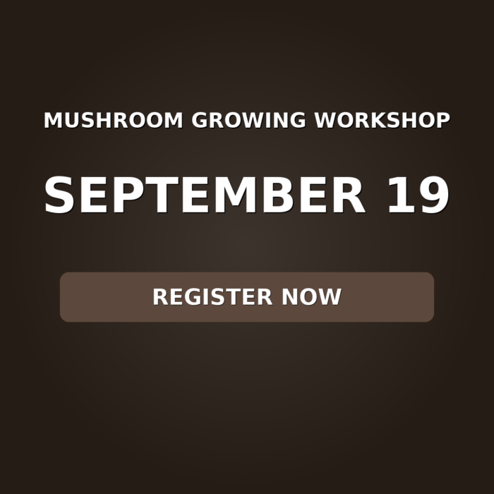 Mushroom Growing Workshop West Palm Beach – November 16