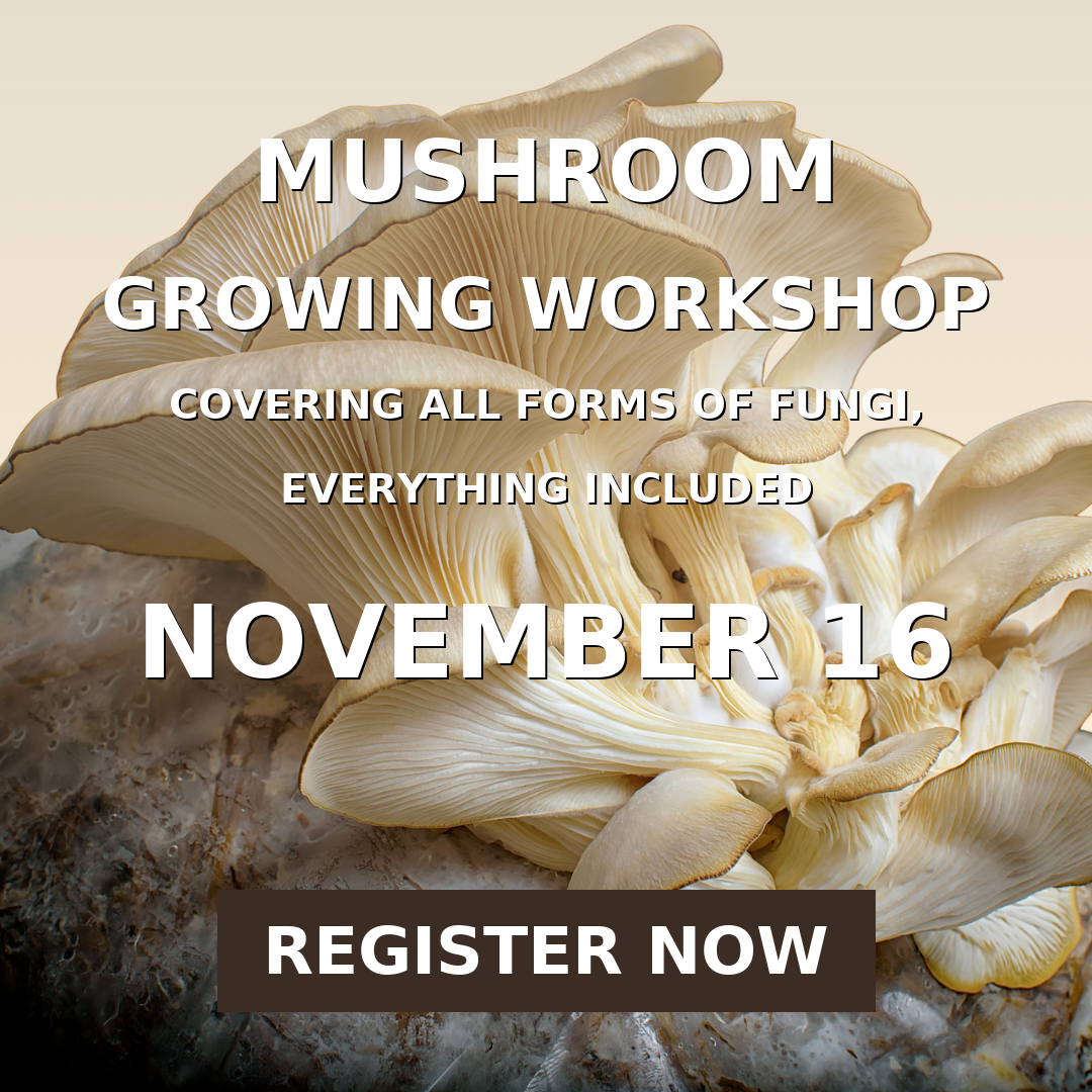 Mushroom Growing Workshop West Palm Beach