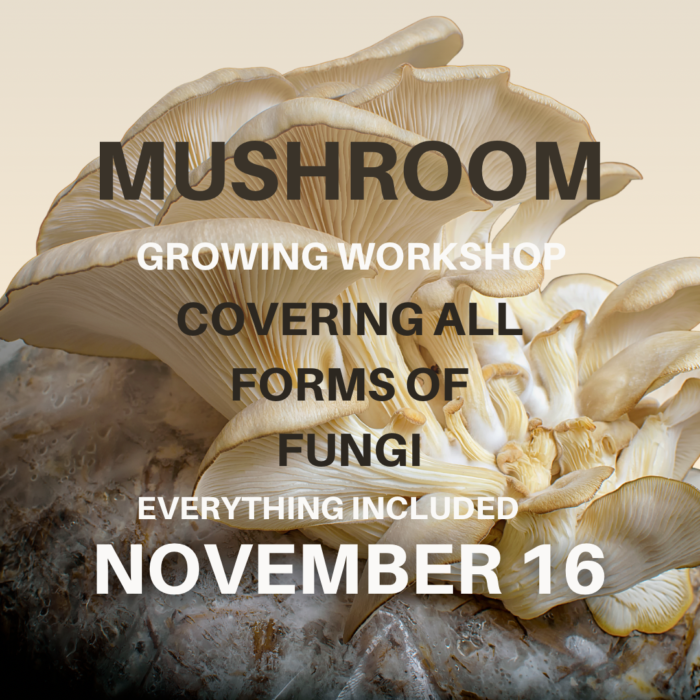 Mushroom Growing Workshop West Palm Beach