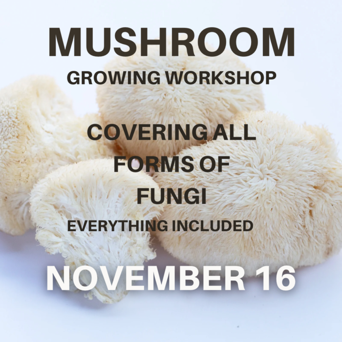 Mushroom Growing Workshop West Palm Beach