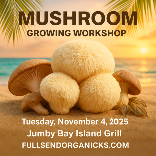 Mushroom Growing Workshop — Hands-On Class | November 4th
