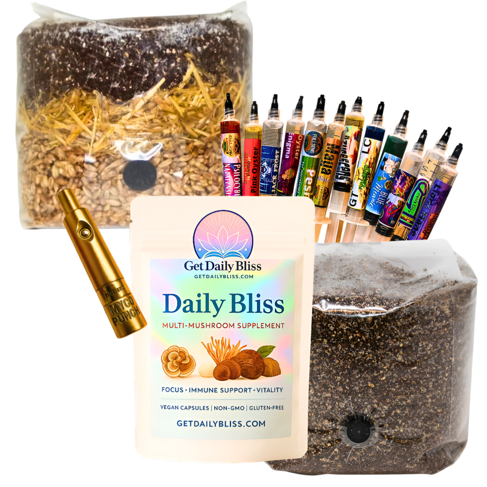 Homepage Image for Hero container