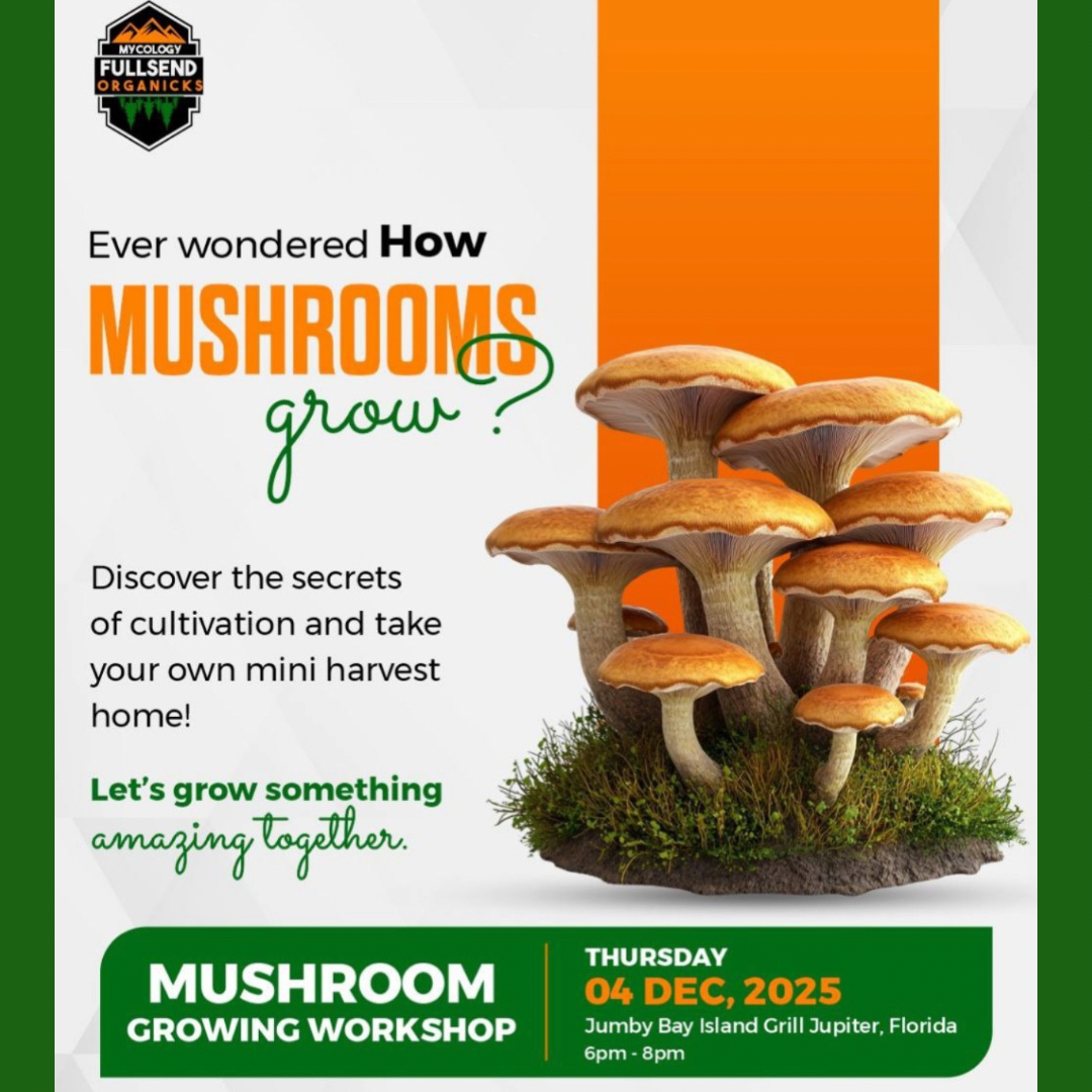 Daily Bliss and syringe pop up