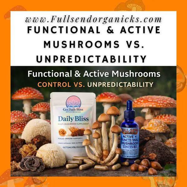 Daily Bliss active and functional mushroom supplement displayed with Lion’s Mane, Reishi, Chaga, Cordyceps, and Turkey Tail in a structured formulation concept image