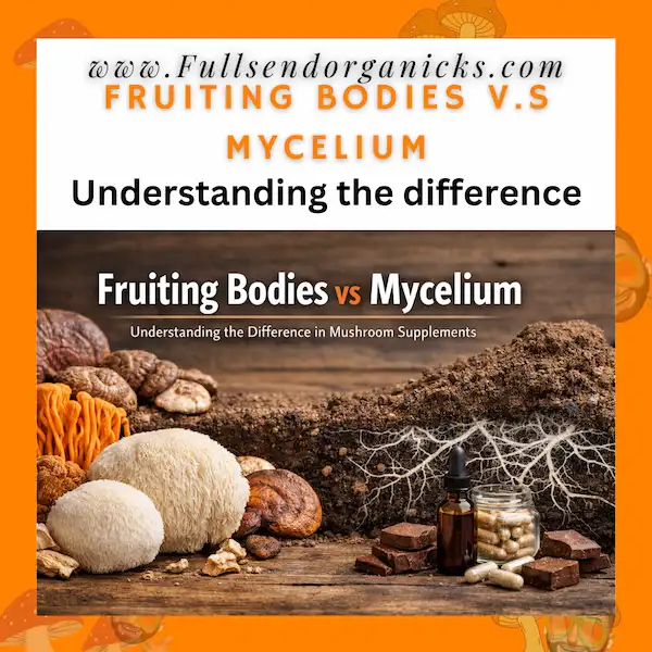 mycelium vs fruiting body mushrooms