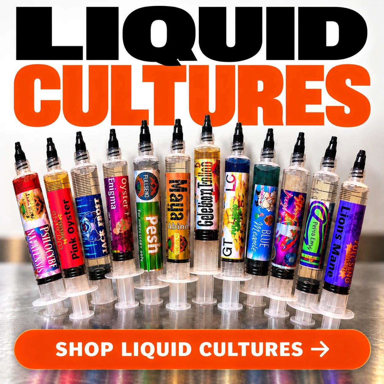 Spores | Super Bags | Mushroom Supplies | Liquid Culture