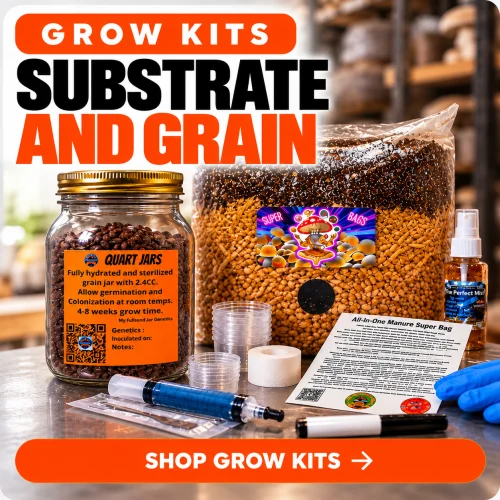Grow Kits - Substrate & Grain